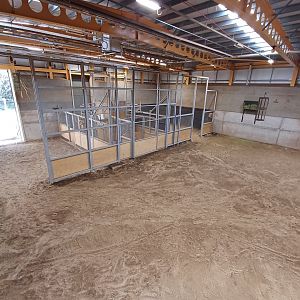 Nubian Giraffe- enclosure