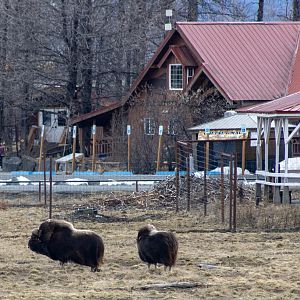 Photo capturing the rather utilitarian nature of the AWCC