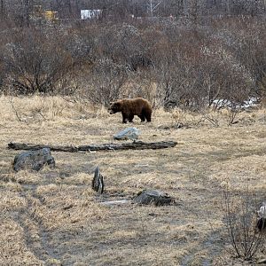 Another view of the exhibit