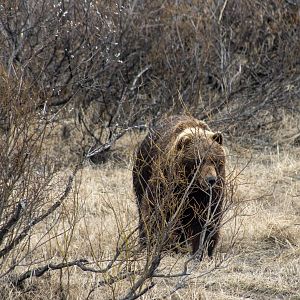 What would be an absolutely heart-stopping sight anywhere but the AWCC