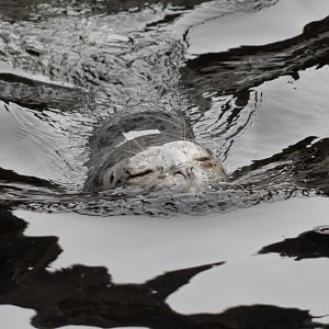 Breaking the surface