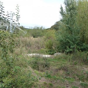 Eurasian wolf enclosure