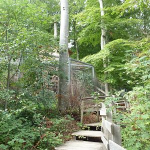 Visitor staircase to the Cabane des Pics