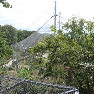 View from Cabane des Pics