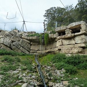 Ibex & vulture walk-through