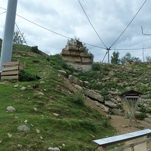 Ibex & vulture walk-through