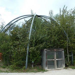 European eagle-owl aviary