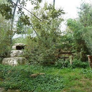 European eagle-owl aviary