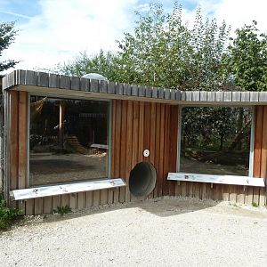 European badger and stone marten viewing points