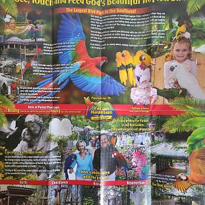 Parrot Mountain - Brochure