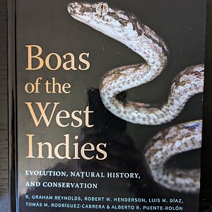 Boas of the West Indies: Evolution, Natural History, and Conservation