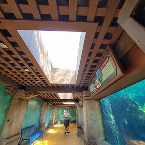 SeaWorld San Diego - Inside exhibit building next to ray touch area
