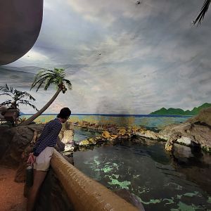 SeaWorld San Diego - Inside shark building