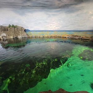 SeaWorld San Diego - Inside shark building