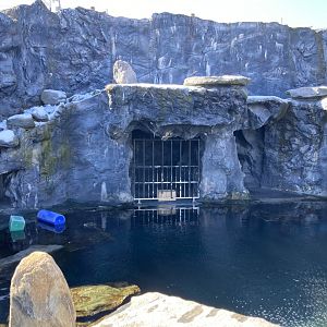 Steller Sea Lion Exhibit (with dungeon gate)