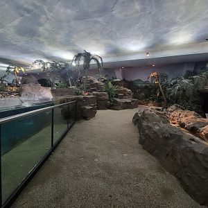 SeaWorld San Diego - Theming inside shark building