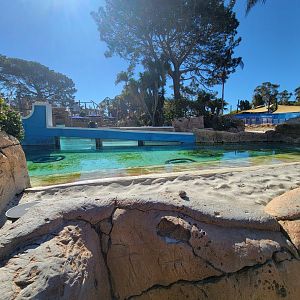 SeaWorld San Diego - Empty outdoor sea turtle area