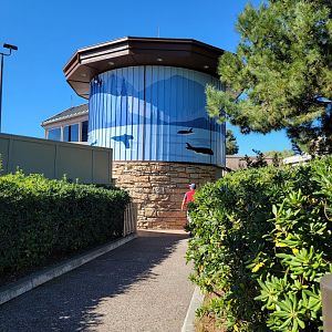 SeaWorld San Diego - Path to orcas