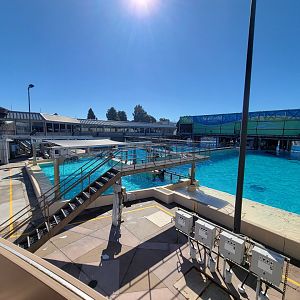 SeaWorld San Diego - Orca off-show pools
