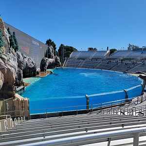 SeaWorld San Diego - Orca Encounter