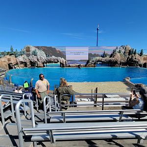 SeaWorld San Diego - Orca Encounter