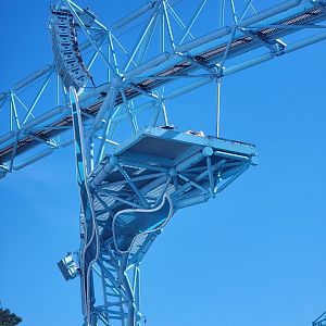 SeaWorld San Diego - Gulls hanging out high above the dolphin stage