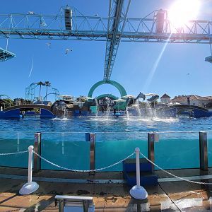 SeaWorld San Diego - Finale of Dolphin Adventures show
