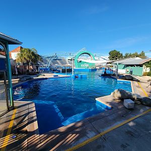 SeaWorld San Diego - Dolphin Adventures off-show pools, with Linne's sloth exhibit on left