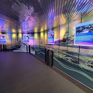 SeaWorld San Diego - Inside penguin building