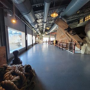 SeaWorld San Diego - Beluga exhibit area