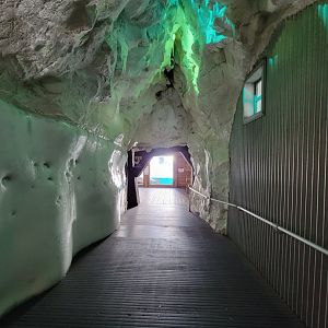 SeaWorld San Diego - Path from belugas to walruses
