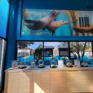 Marine Mammal Care Center - Skulls