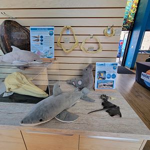 Marine Mammal Care Center - Learning area