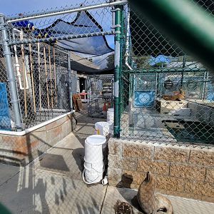 Marine Mammal Care Center - Area next to pen #1