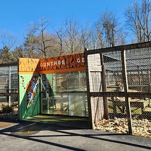 Little Ponderosa Zoo - Tiger enclosure