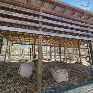 Little Ponderosa Zoo - Gray Wolf enclosure