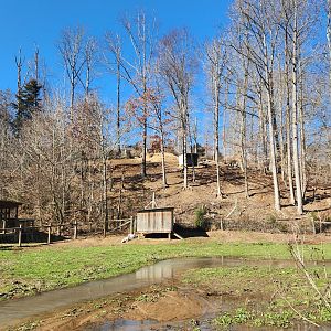 Little Ponderosa Zoo - Barbary Sheep yard (from a distance)