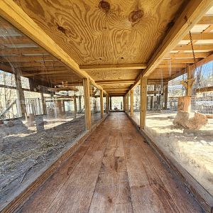 Little Ponderosa Zoo - Fox exhibit crawl space