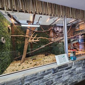 Little Ponderosa Zoo - Lizard/tortoise enclosure