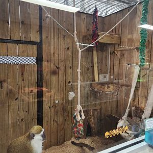 Little Ponderosa Zoo - Monkey enclosure example