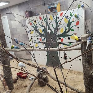 Little Ponderosa Zoo - Parrot aviary