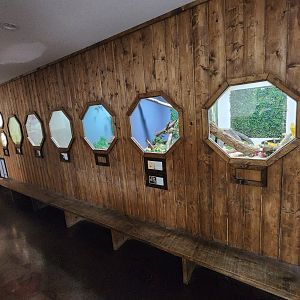 Little Ponderosa Zoo - Reptile exhibit area