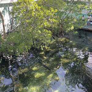 Atlantic Shores exhibit (1/2/24)