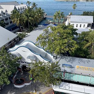 Overhead view of aquarium (1/2/24)