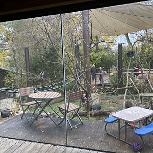 Vervet Monkey Tent Viewing Gallery- October 2023