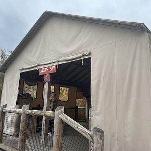 Vervet Monkey Tent- October 2023