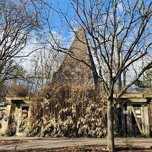 Nashville Zoo - Lorikeet aviary