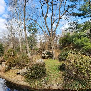 Nashville Zoo - Gibbon island
