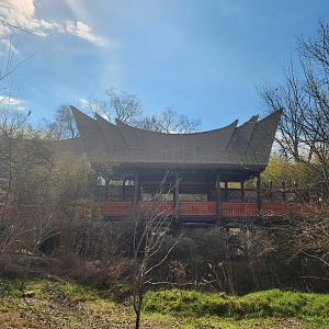Nashville Zoo - Tiger Crossroads bridge from low ground