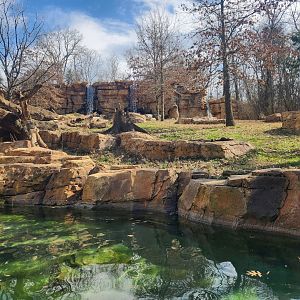 Nashville Zoo - Spectacled bear enclosure
